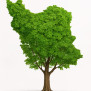 جانم فدای میهن